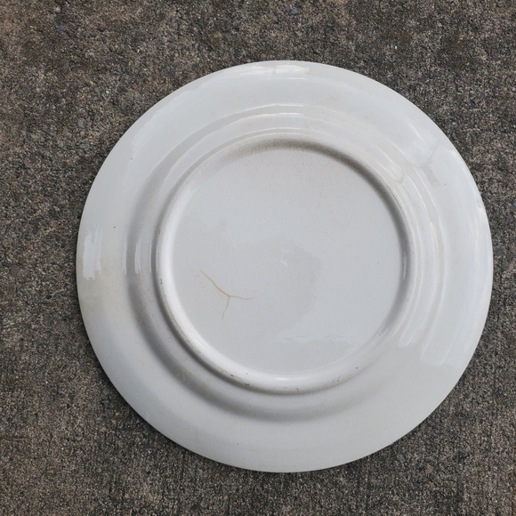 💙🤍Platter🤍💙 - Picture 4 of 4